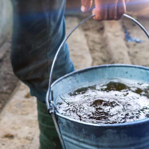 Harrington Dry Gin - Image 7