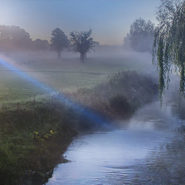 London Dry Gin - Image 6