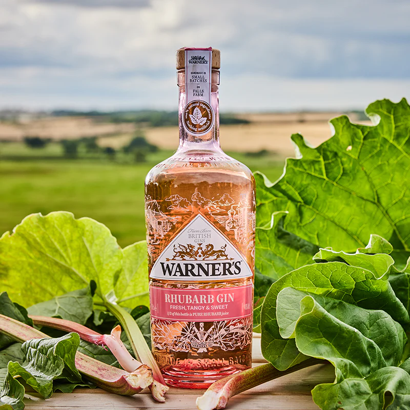 Rhubarb Gin - Image 3